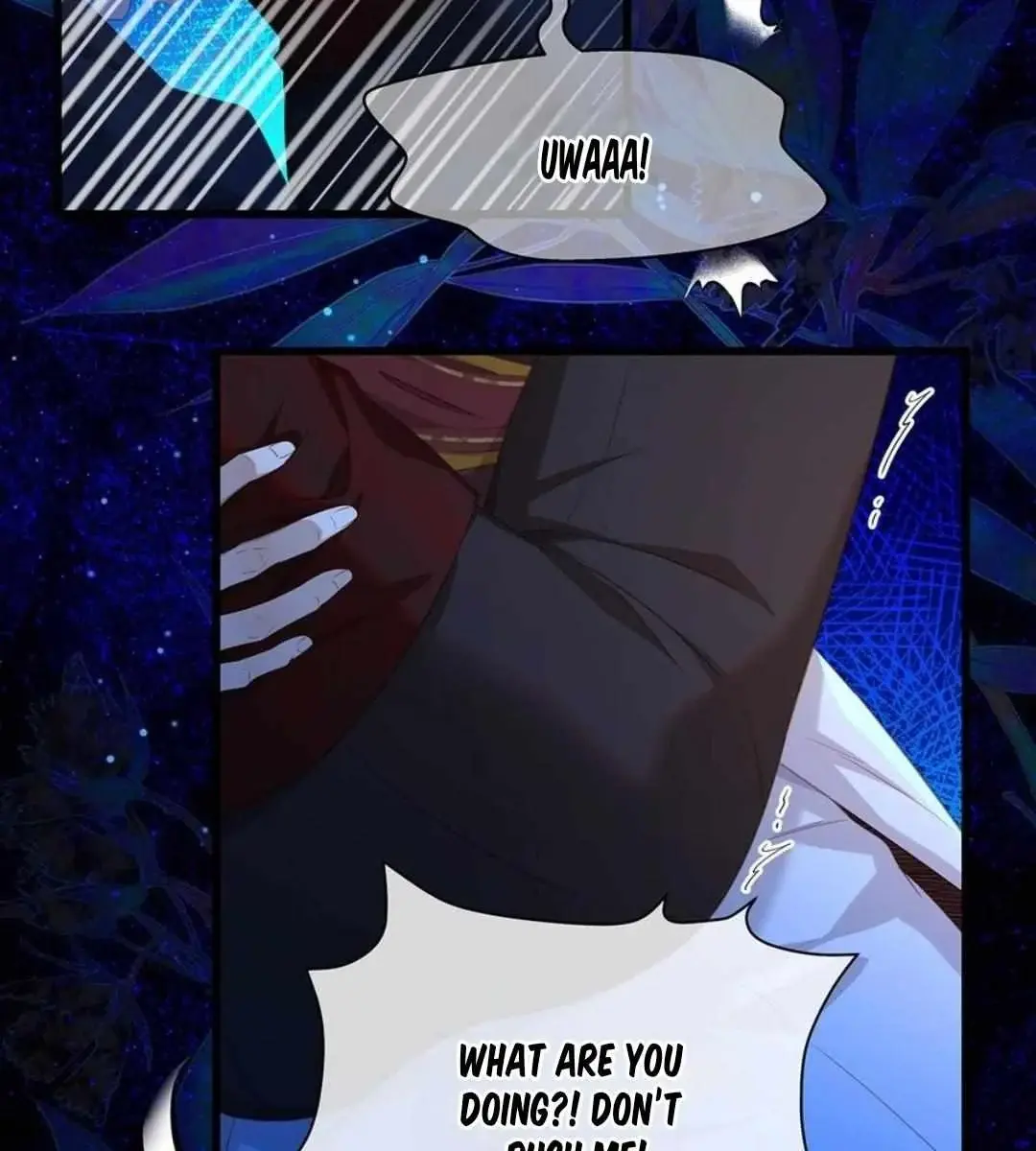 I Was Reborn as His Highness the Prince's Little Evil Dragon Chapter 52 Page 37