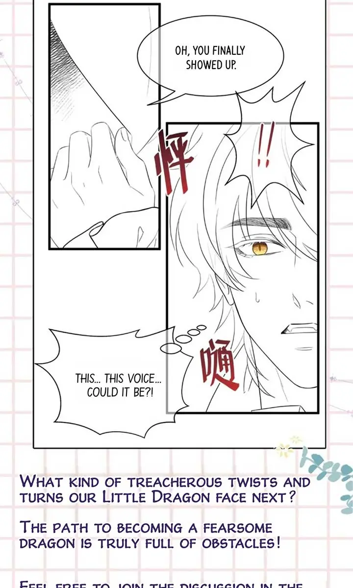 I Was Reborn as His Highness the Prince's Little Evil Dragon Chapter 54 Page 5