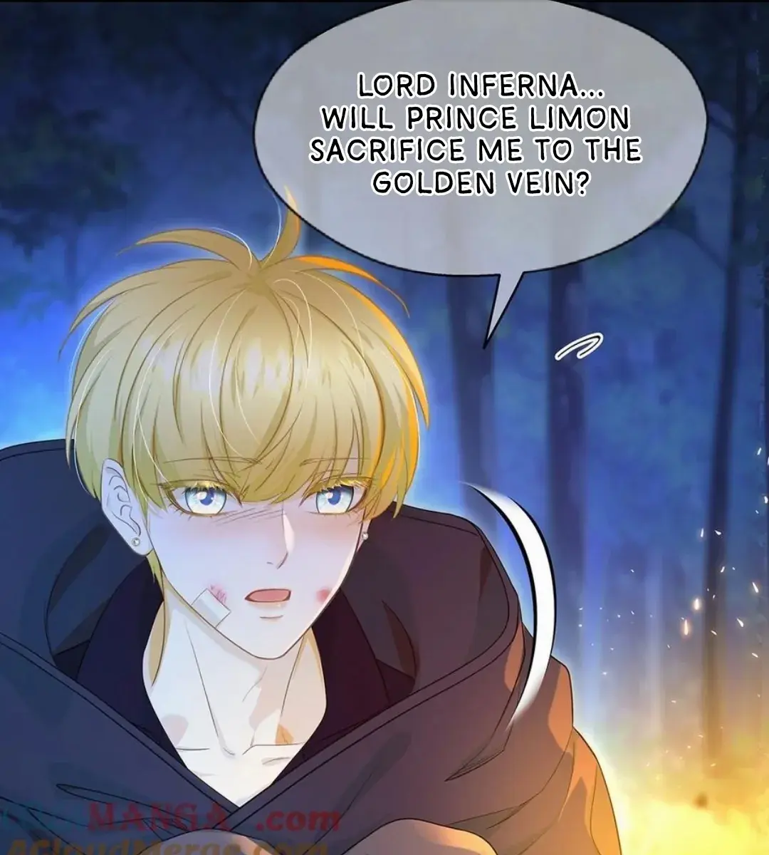 I Was Reborn as His Highness the Prince's Little Evil Dragon Chapter 54 Page 77