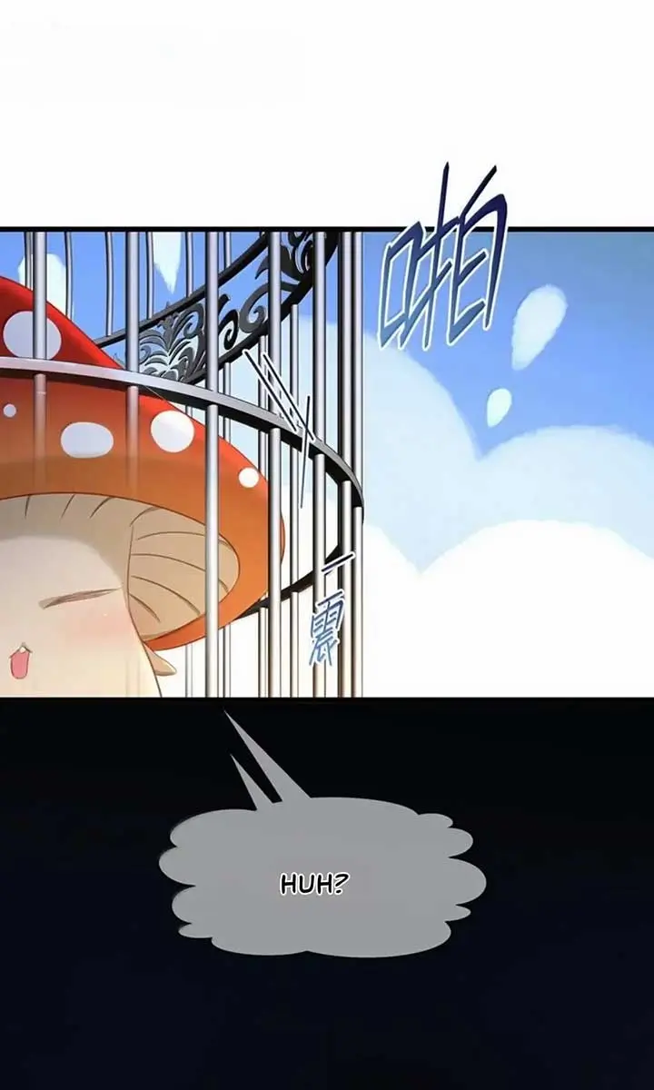 I Was Reborn as His Highness the Prince's Little Evil Dragon Chapter 61 Page 33