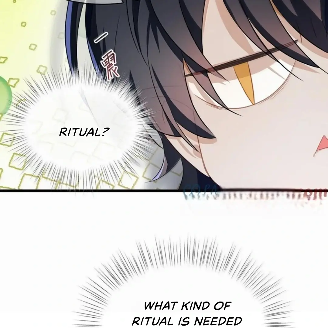 I Was Reborn as His Highness the Prince's Little Evil Dragon Chapter 62 Page 25