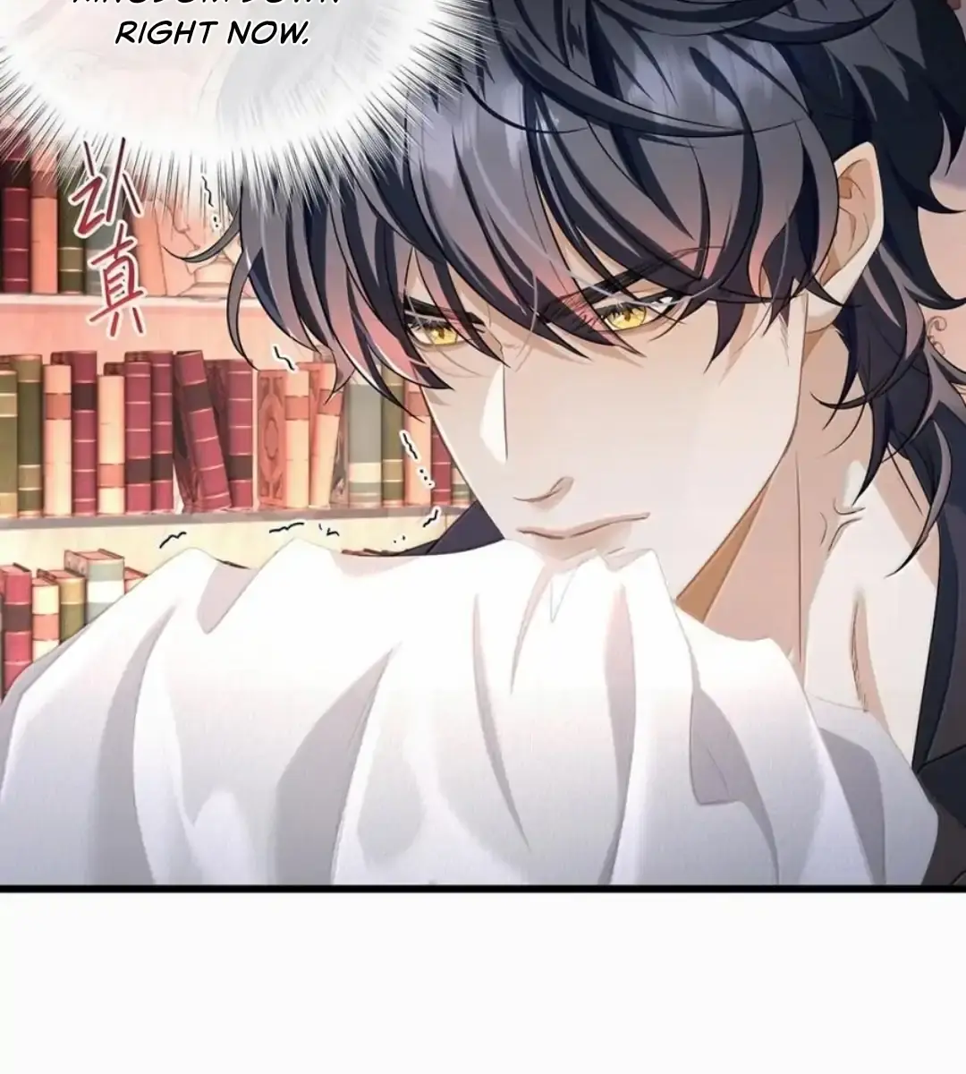 I Was Reborn as His Highness the Prince's Little Evil Dragon Chapter 62 Page 39