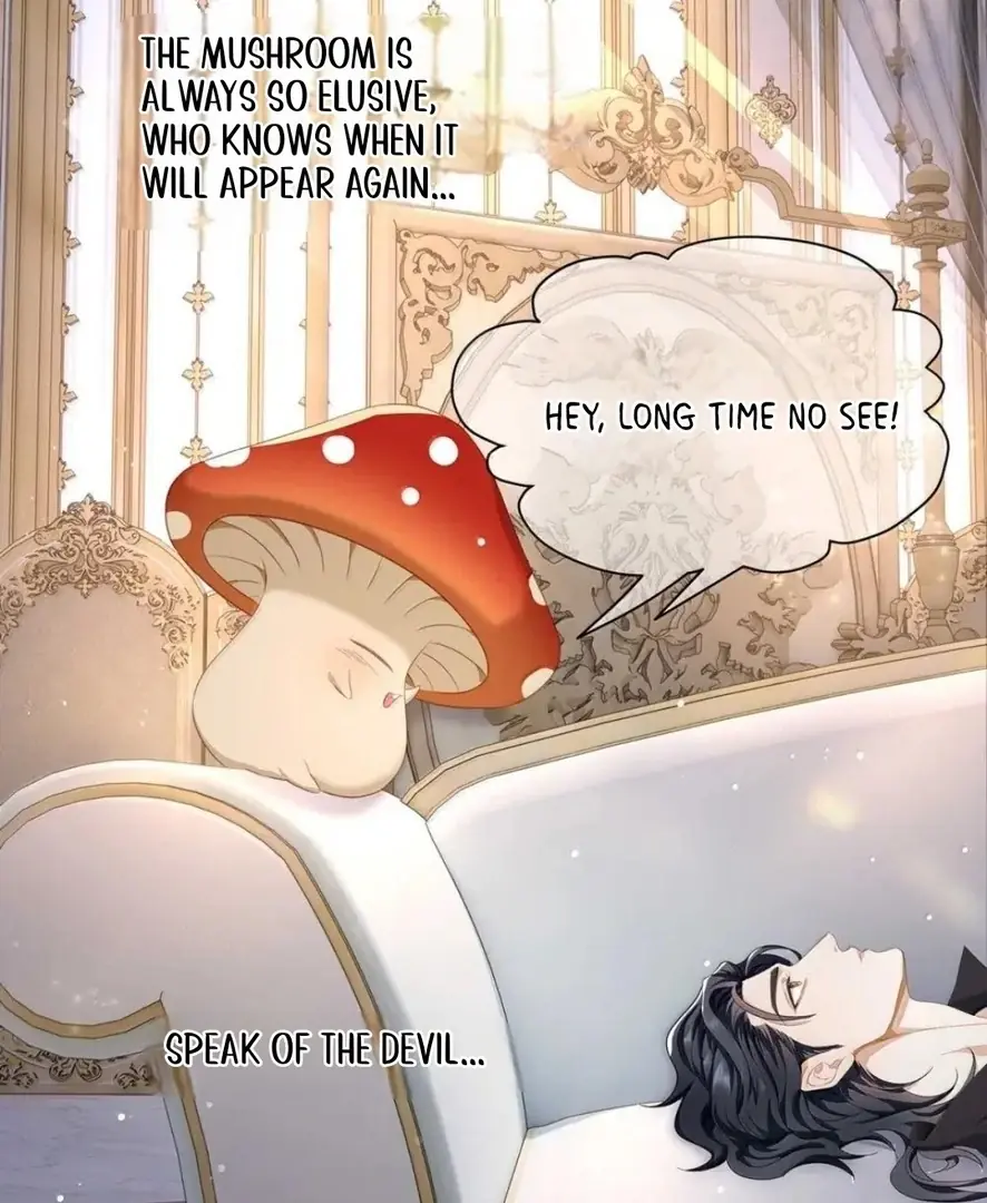 I Was Reborn as His Highness the Prince's Little Evil Dragon Chapter 66 Page 33