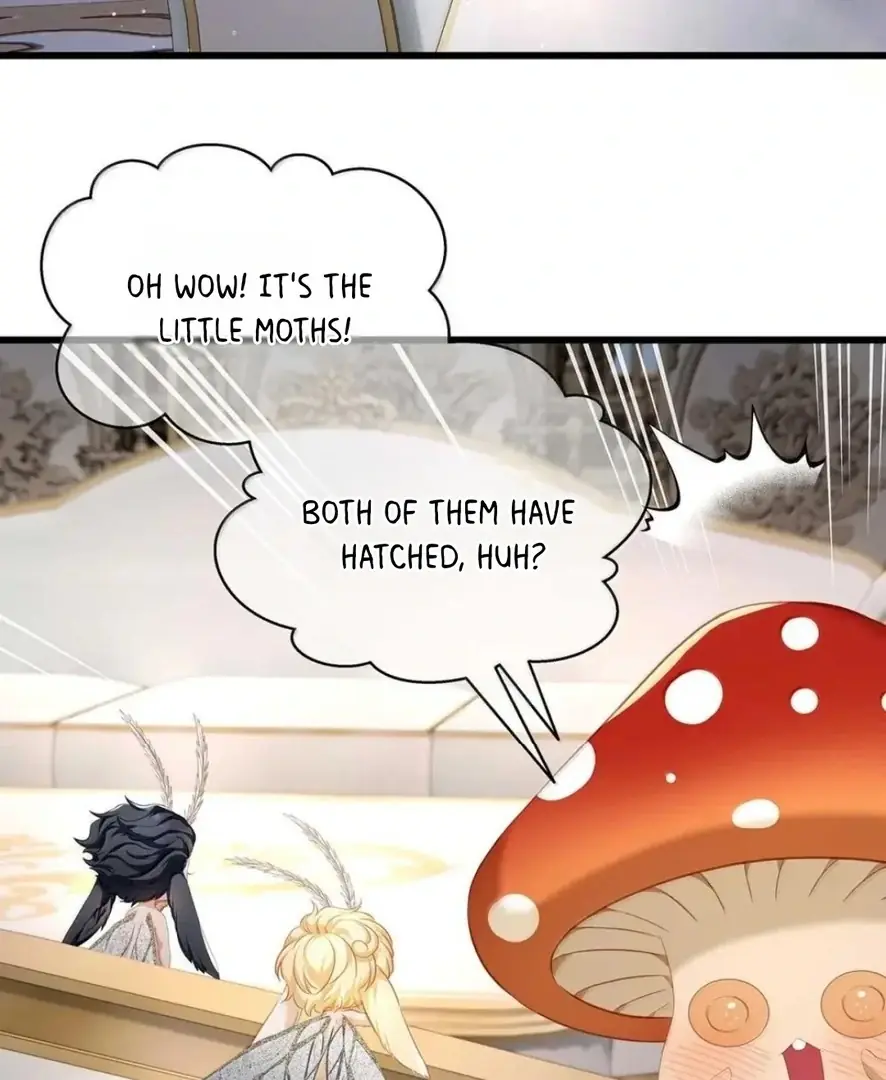 I Was Reborn as His Highness the Prince's Little Evil Dragon Chapter 66 Page 34