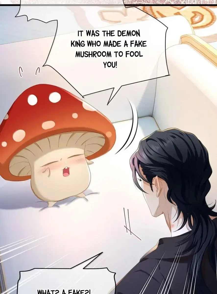 I Was Reborn as His Highness the Prince's Little Evil Dragon Chapter 66 Page 40
