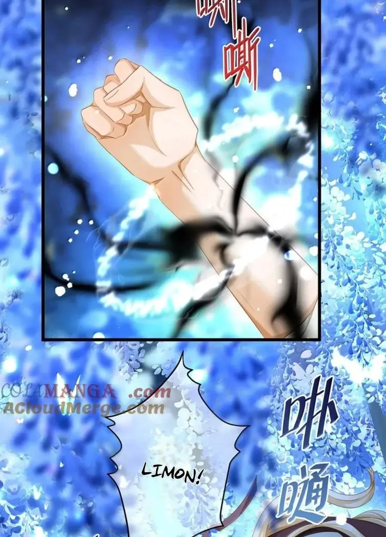 I Was Reborn as His Highness the Prince's Little Evil Dragon Chapter 71 Page 33