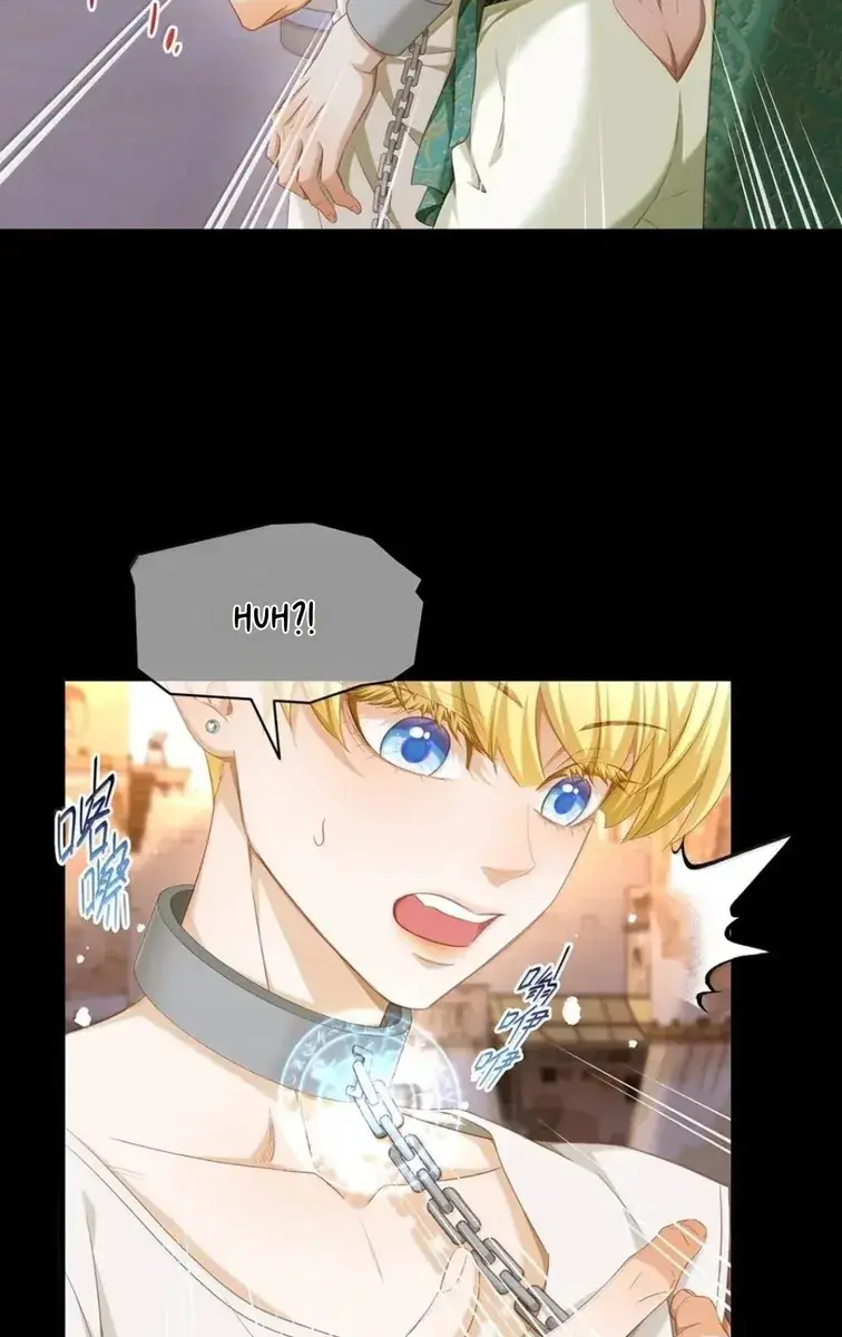 I Was Reborn as His Highness the Prince's Little Evil Dragon Chapter 73 Page 12
