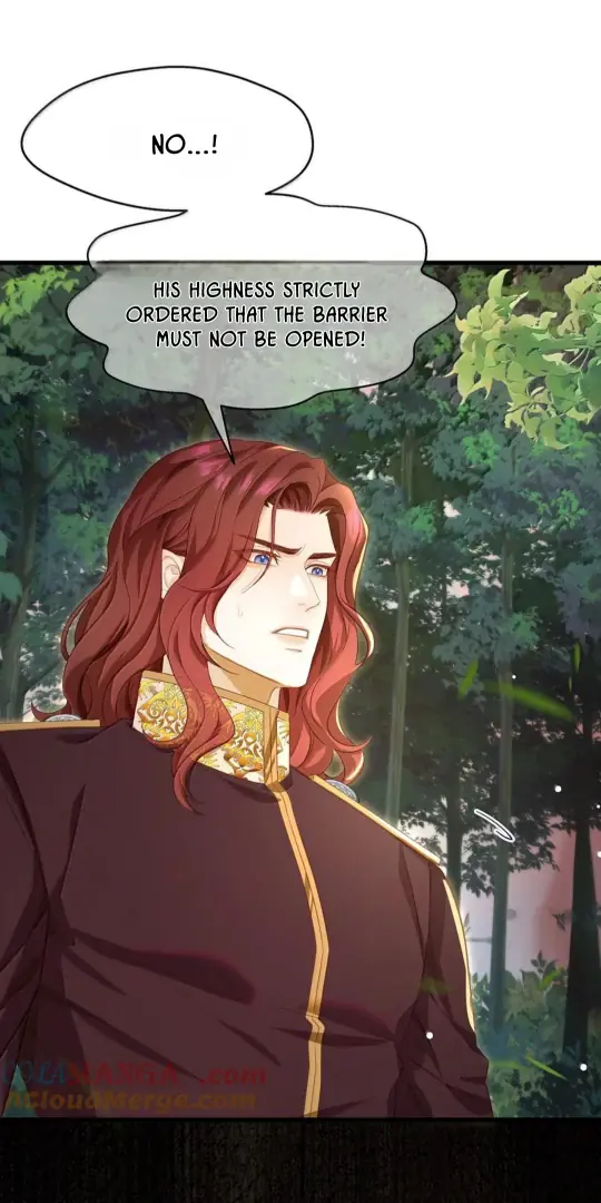 I Was Reborn as His Highness the Prince's Little Evil Dragon Chapter 83 Page 14