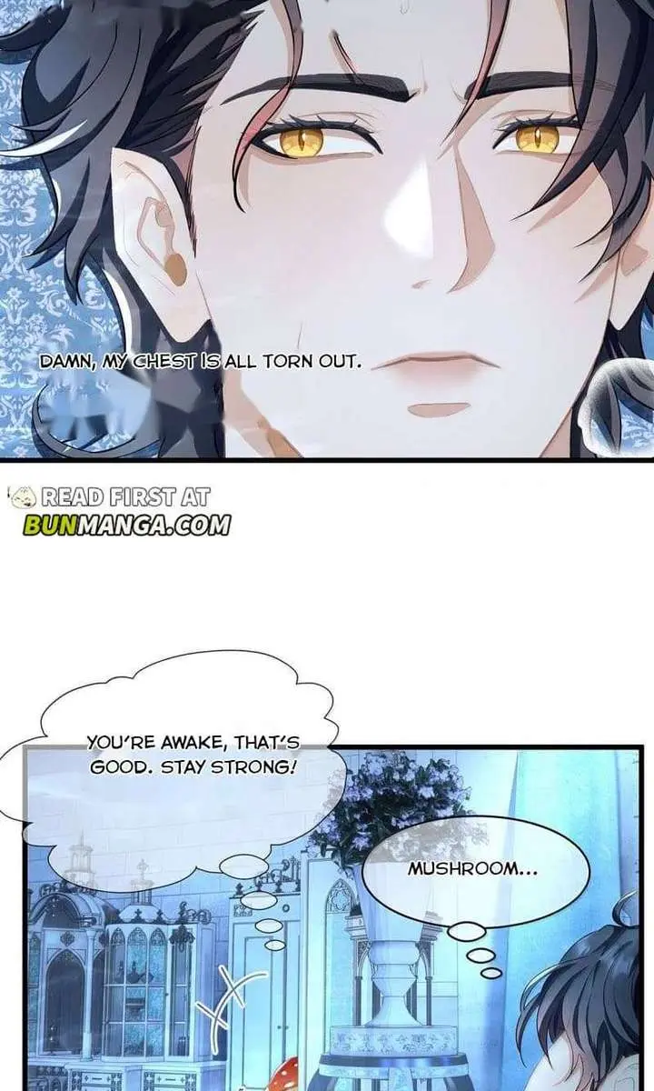 I Was Reborn as His Highness the Prince's Little Evil Dragon Chapter 91 Page 12