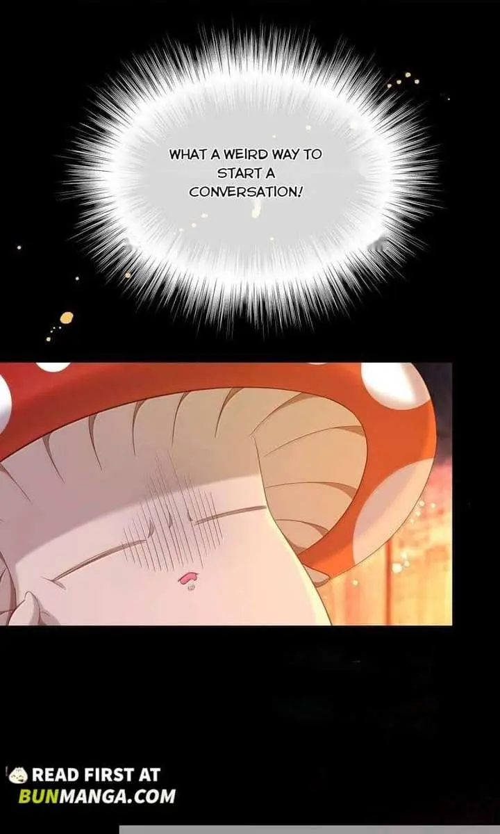 I Was Reborn as His Highness the Prince's Little Evil Dragon Chapter 94 Page 10