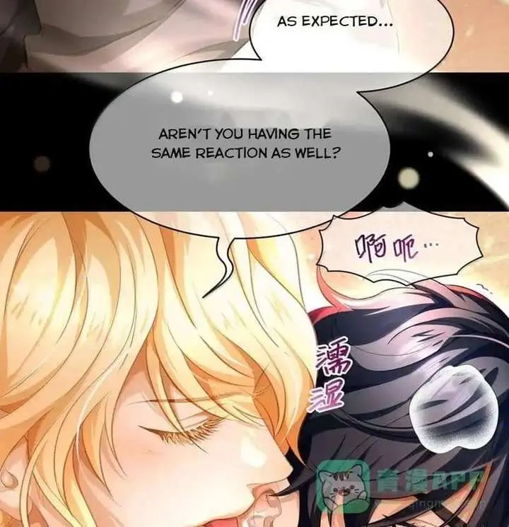 I Was Reborn as His Highness the Prince's Little Evil Dragon Chapter 97 Page 31