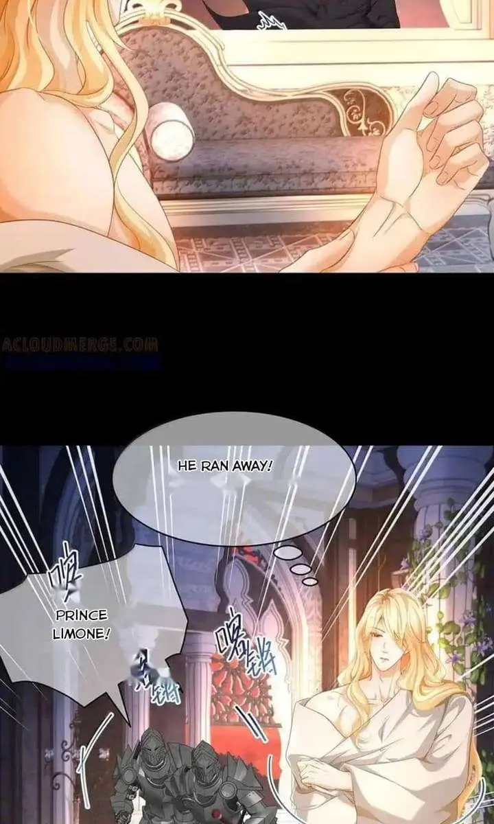 I Was Reborn as His Highness the Prince's Little Evil Dragon Chapter 98 Page 24