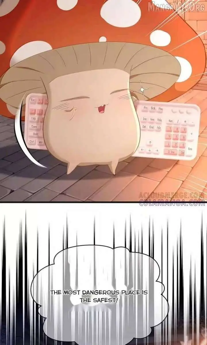 I Was Reborn as His Highness the Prince's Little Evil Dragon Chapter 99 Page 34