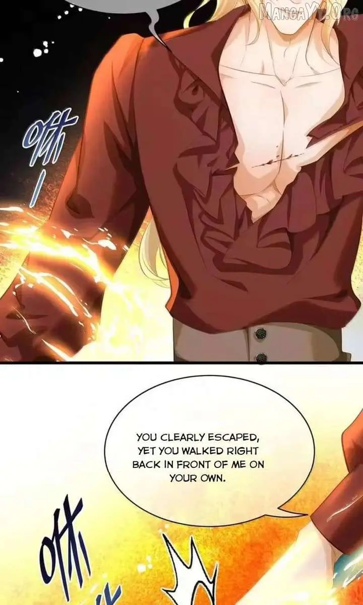 I Was Reborn as His Highness the Prince's Little Evil Dragon Chapter 100 Page 17