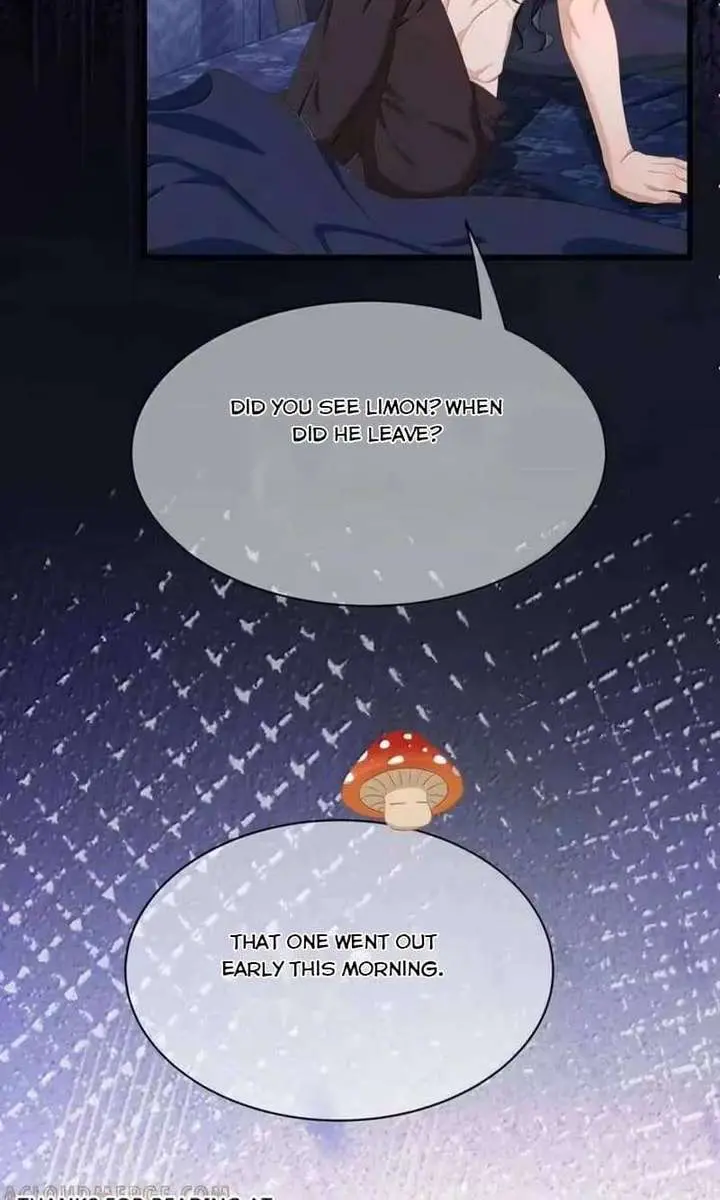 I Was Reborn as His Highness the Prince's Little Evil Dragon Chapter 101 Page 14