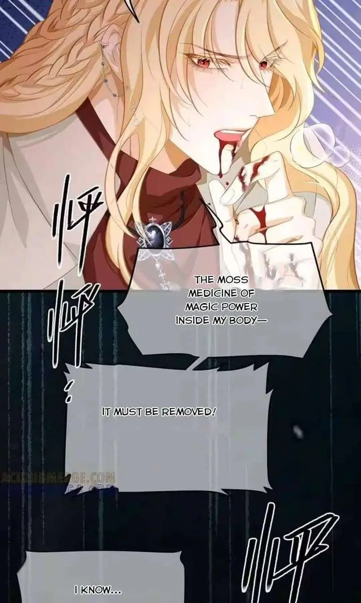 I Was Reborn as His Highness the Prince's Little Evil Dragon Chapter 102 Page 51