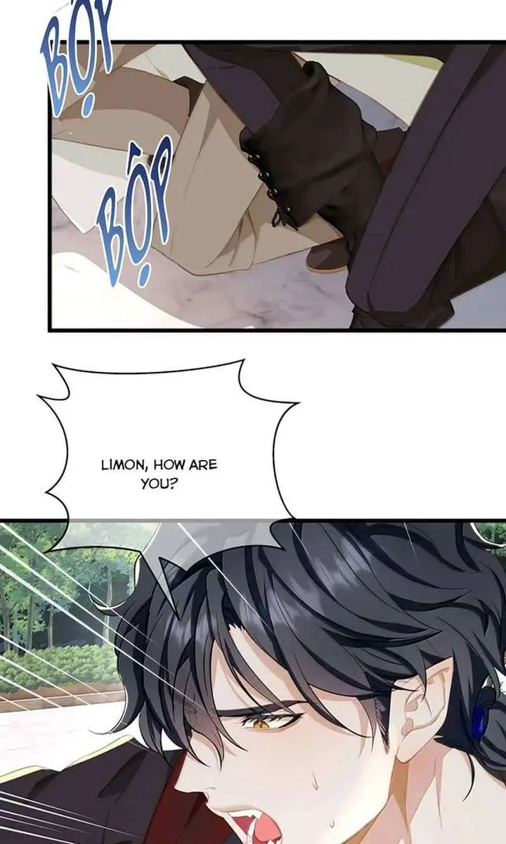 I Was Reborn as His Highness the Prince's Little Evil Dragon Chapter 103 Page 5