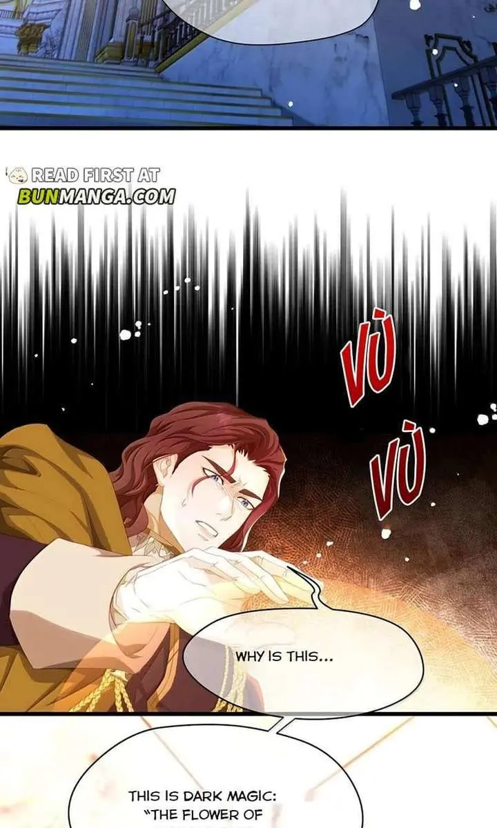I Was Reborn as His Highness the Prince's Little Evil Dragon Chapter 103 Page 9