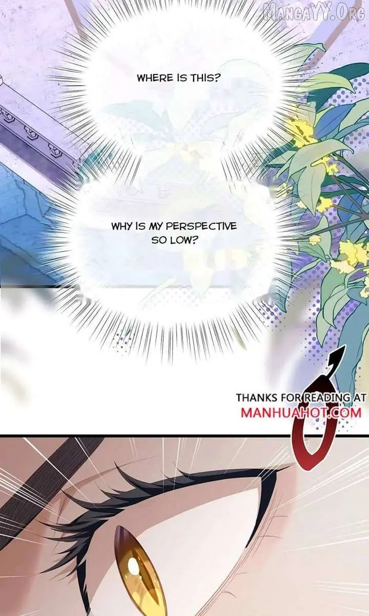 I Was Reborn as His Highness the Prince's Little Evil Dragon Chapter 104 Page 37