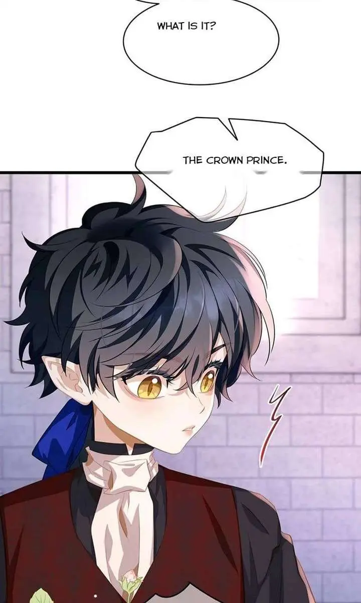 I Was Reborn as His Highness the Prince's Little Evil Dragon Chapter 104 Page 41