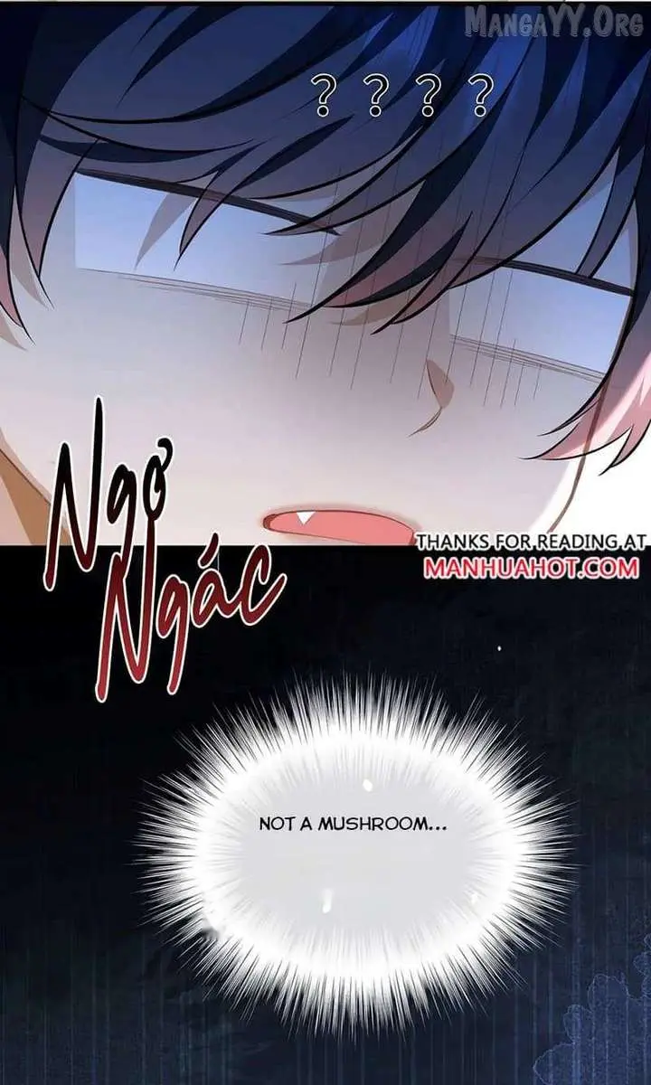 I Was Reborn as His Highness the Prince's Little Evil Dragon Chapter 104 Page 44