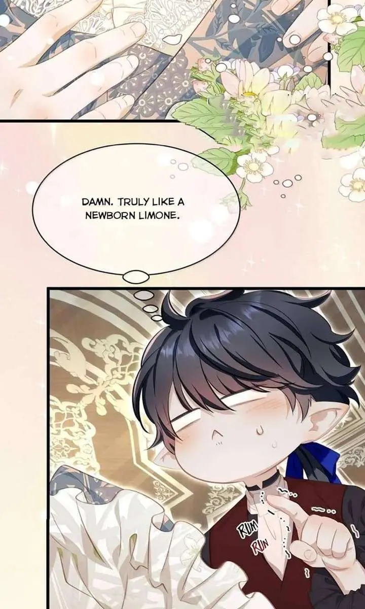 I Was Reborn as His Highness the Prince's Little Evil Dragon Chapter 105 Page 3