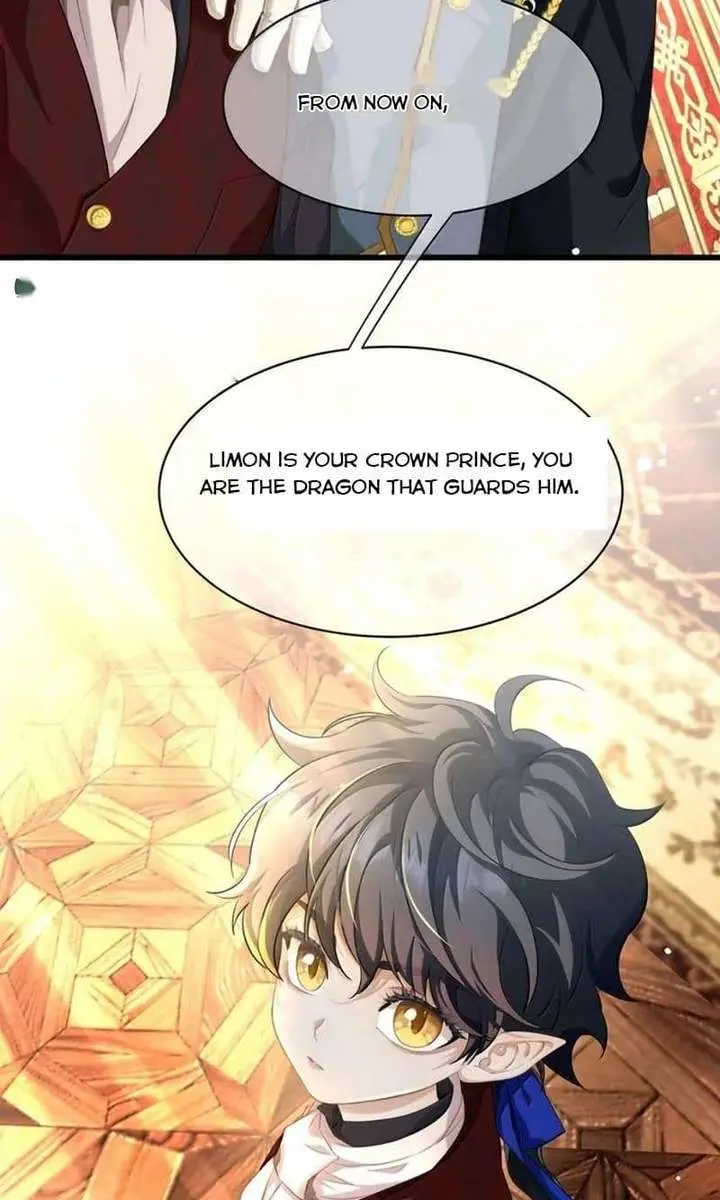 I Was Reborn as His Highness the Prince's Little Evil Dragon Chapter 105 Page 8