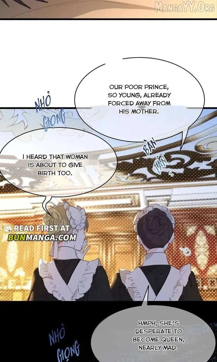 I Was Reborn as His Highness the Prince's Little Evil Dragon Chapter 105 Page 27
