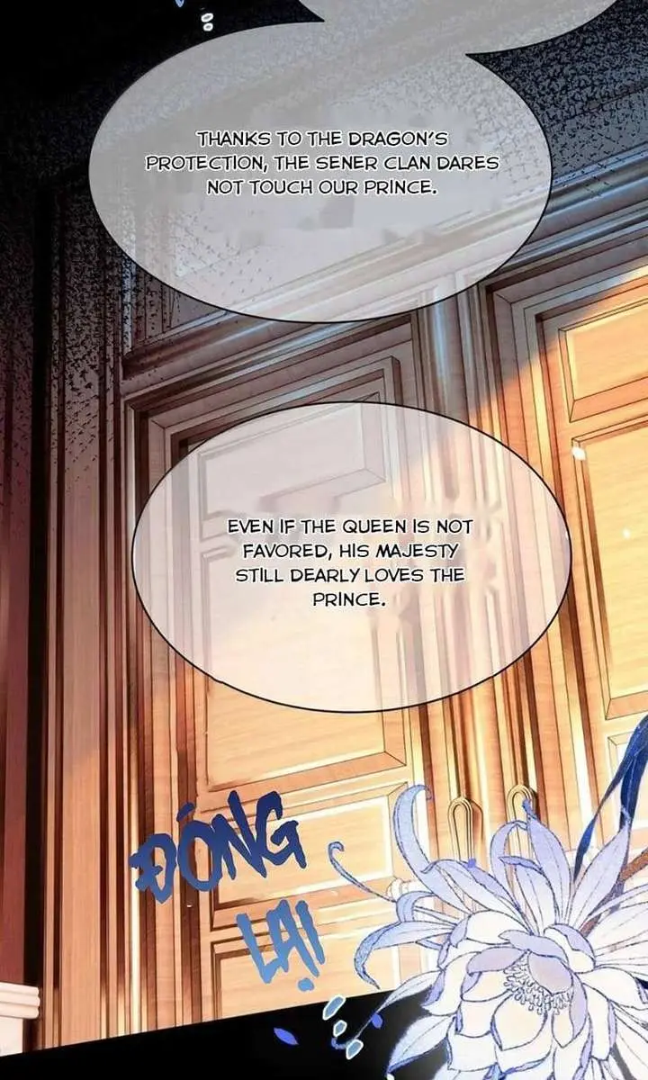 I Was Reborn as His Highness the Prince's Little Evil Dragon Chapter 105 Page 28