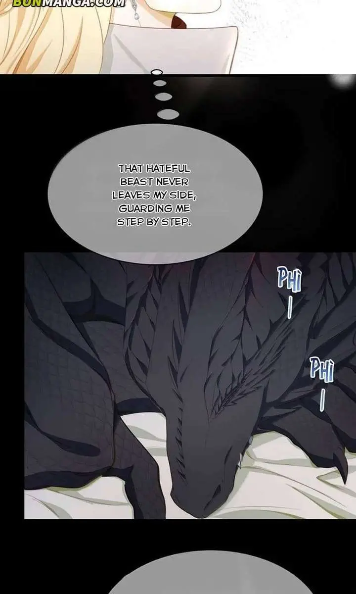 I Was Reborn as His Highness the Prince's Little Evil Dragon Chapter 106 Page 3