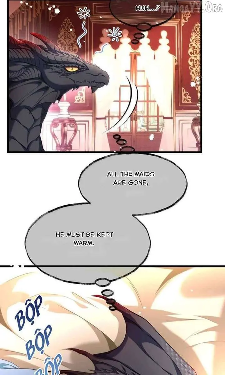 I Was Reborn as His Highness the Prince's Little Evil Dragon Chapter 106 Page 7