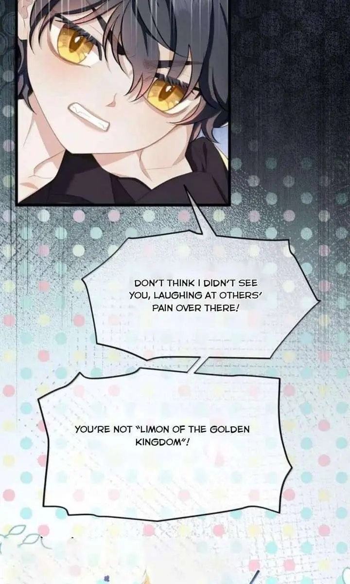 I Was Reborn as His Highness the Prince's Little Evil Dragon Chapter 107 Page 5