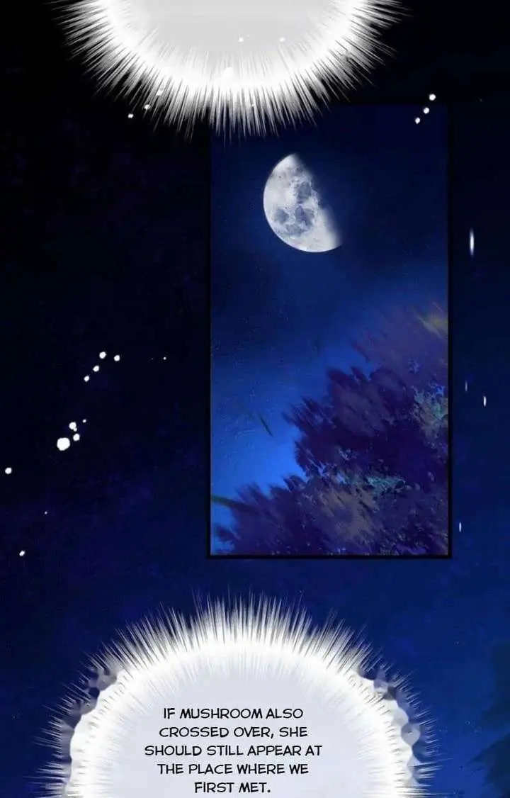 I Was Reborn as His Highness the Prince's Little Evil Dragon Chapter 107 Page 14