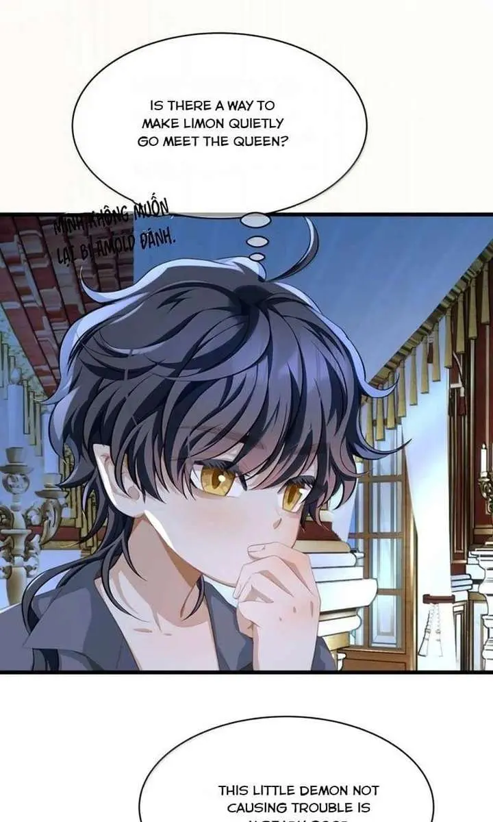 I Was Reborn as His Highness the Prince's Little Evil Dragon Chapter 108 Page 46