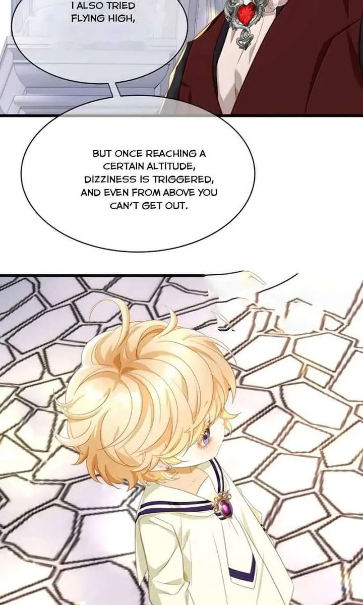 I Was Reborn as His Highness the Prince's Little Evil Dragon Chapter 109 Page 11