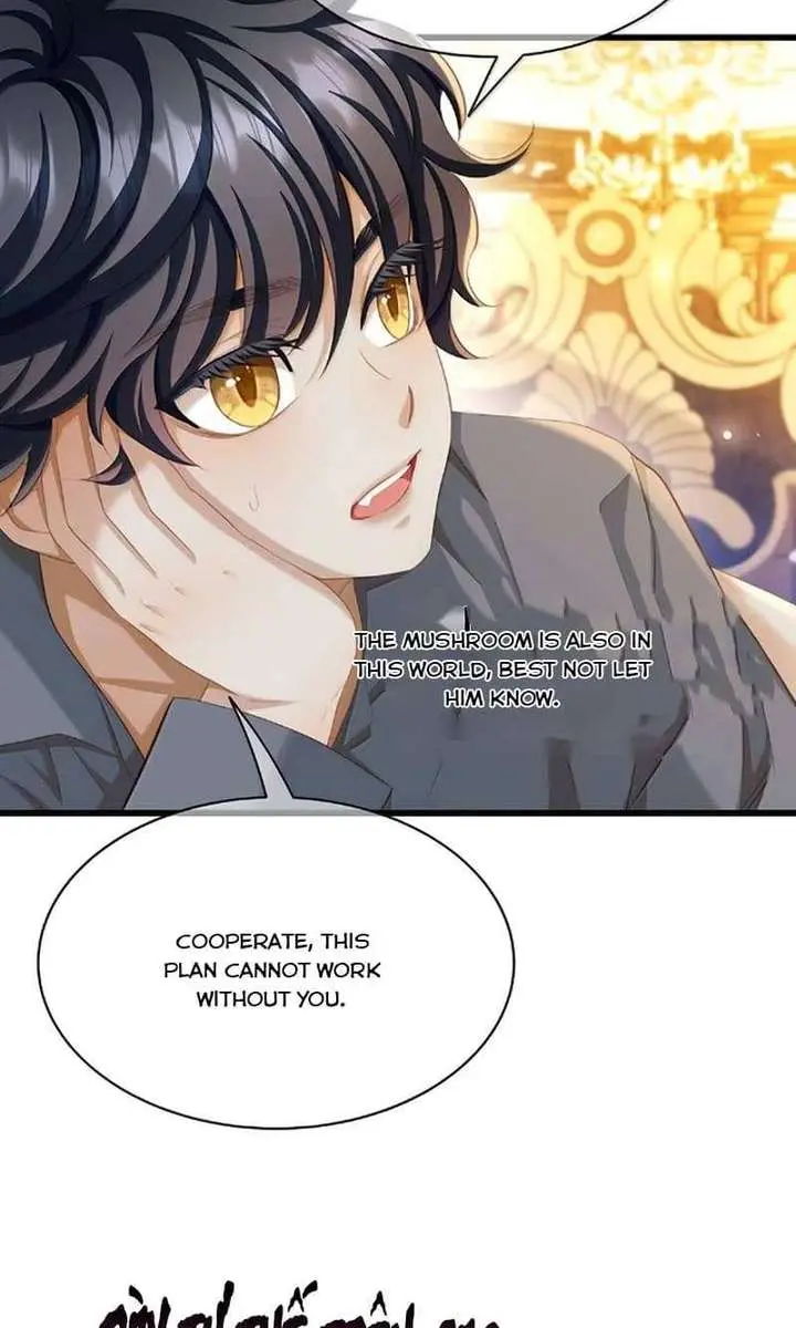 I Was Reborn as His Highness the Prince's Little Evil Dragon Chapter 109 Page 24