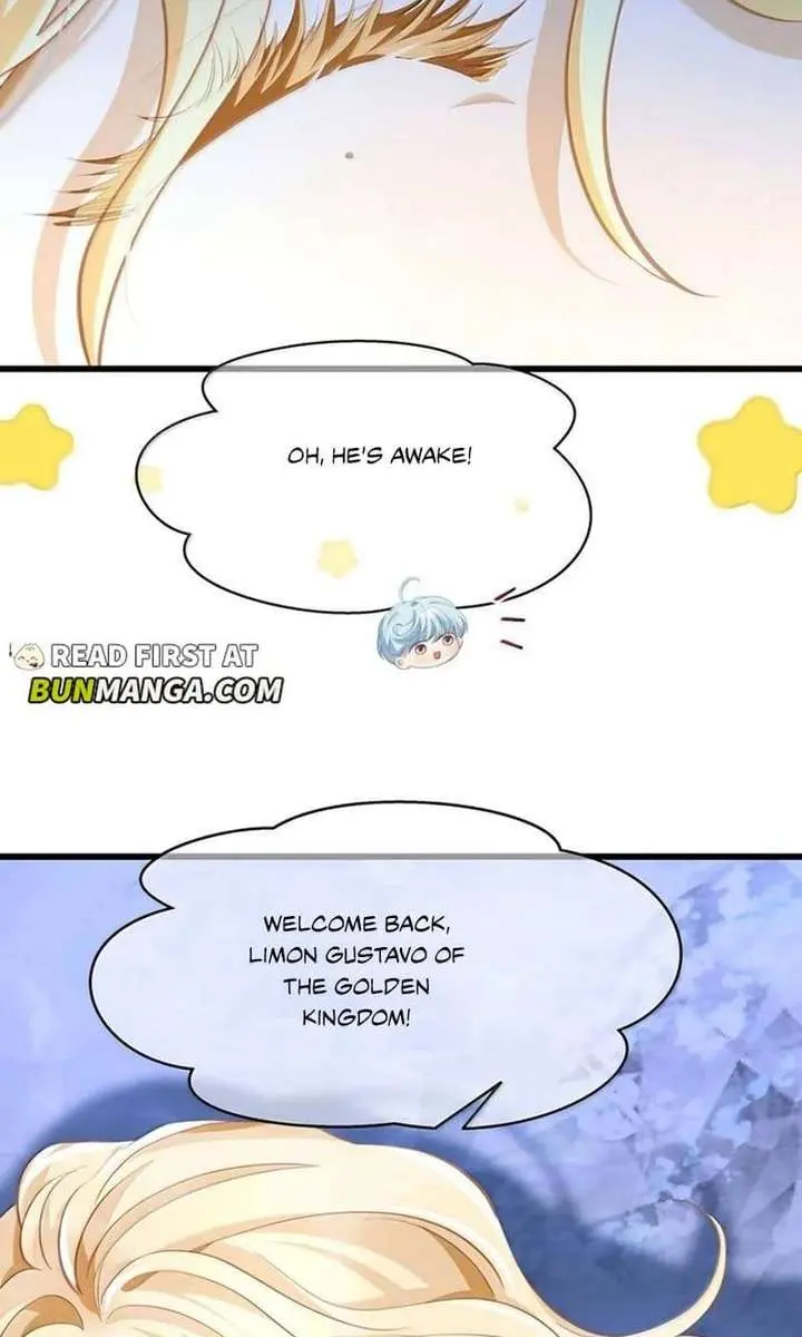 I Was Reborn as His Highness the Prince's Little Evil Dragon Chapter 114 Page 47
