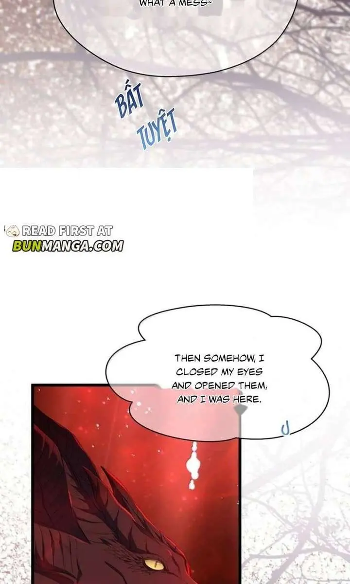I Was Reborn as His Highness the Prince's Little Evil Dragon Chapter 116 Page 32