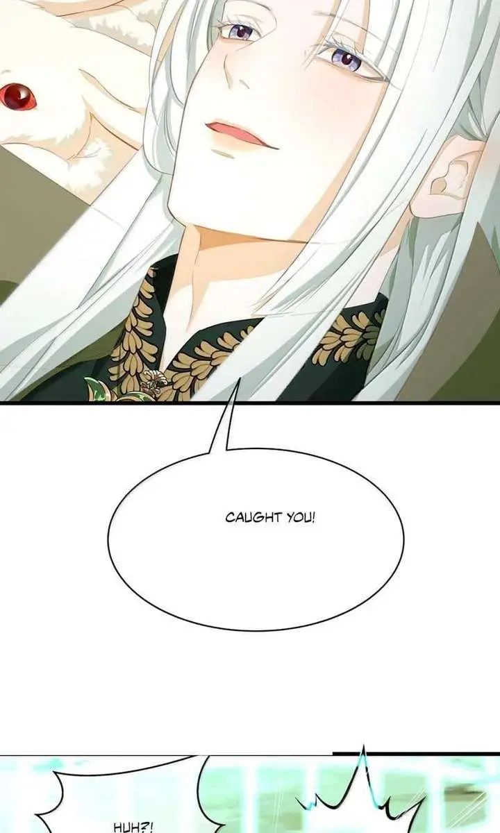I Was Reborn as His Highness the Prince's Little Evil Dragon Chapter 117 Page 11