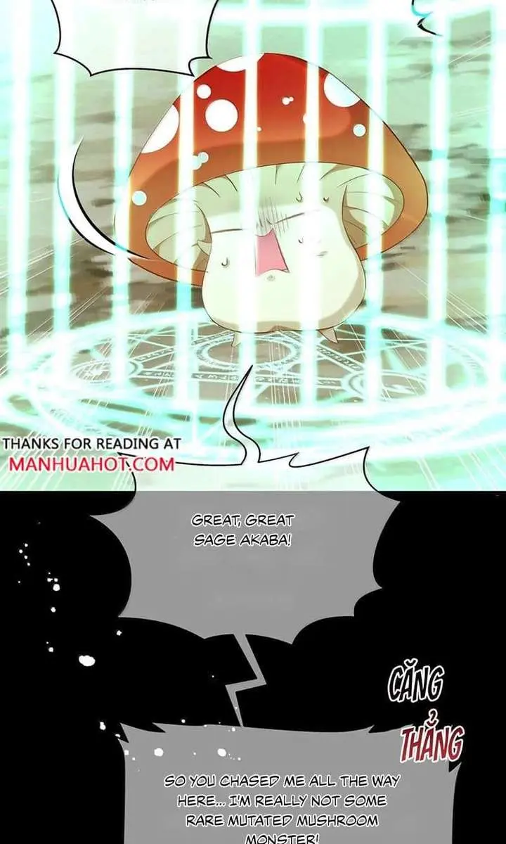 I Was Reborn as His Highness the Prince's Little Evil Dragon Chapter 117 Page 12