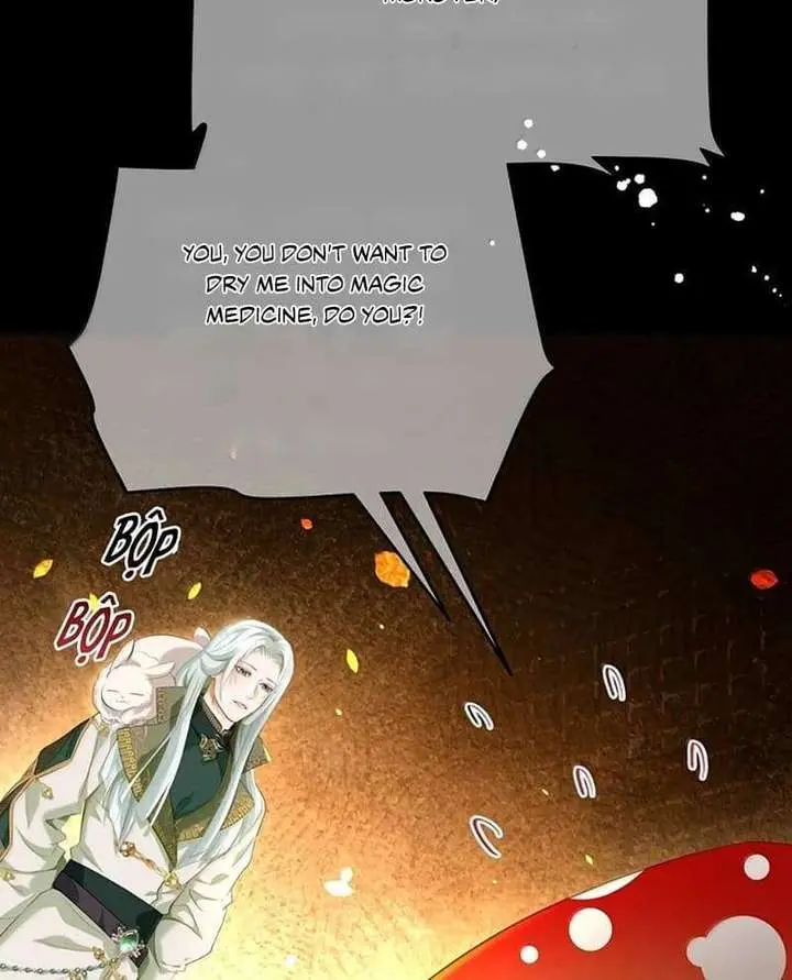 I Was Reborn as His Highness the Prince's Little Evil Dragon Chapter 117 Page 13