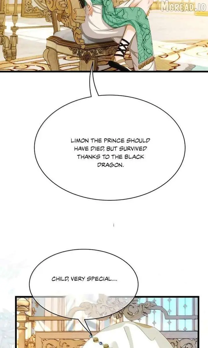 I Was Reborn as His Highness the Prince's Little Evil Dragon Chapter 117 Page 28