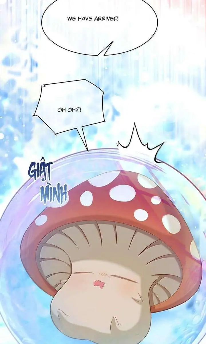 I Was Reborn as His Highness the Prince's Little Evil Dragon Chapter 119 Page 24