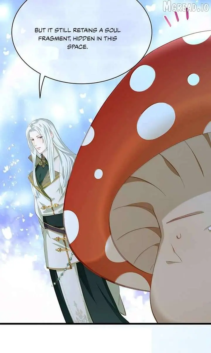 I Was Reborn as His Highness the Prince's Little Evil Dragon Chapter 119 Page 29