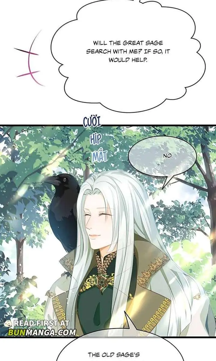 I Was Reborn as His Highness the Prince's Little Evil Dragon Chapter 120 Page 17