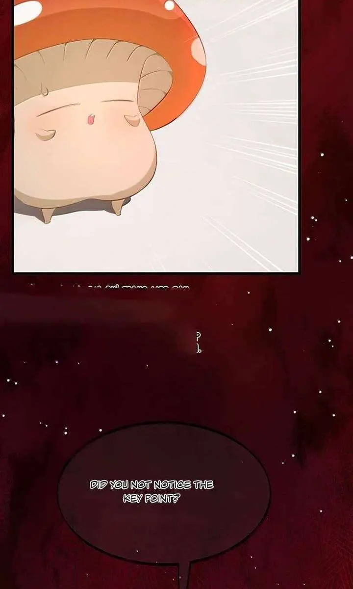 I Was Reborn as His Highness the Prince's Little Evil Dragon Chapter 121 Page 4