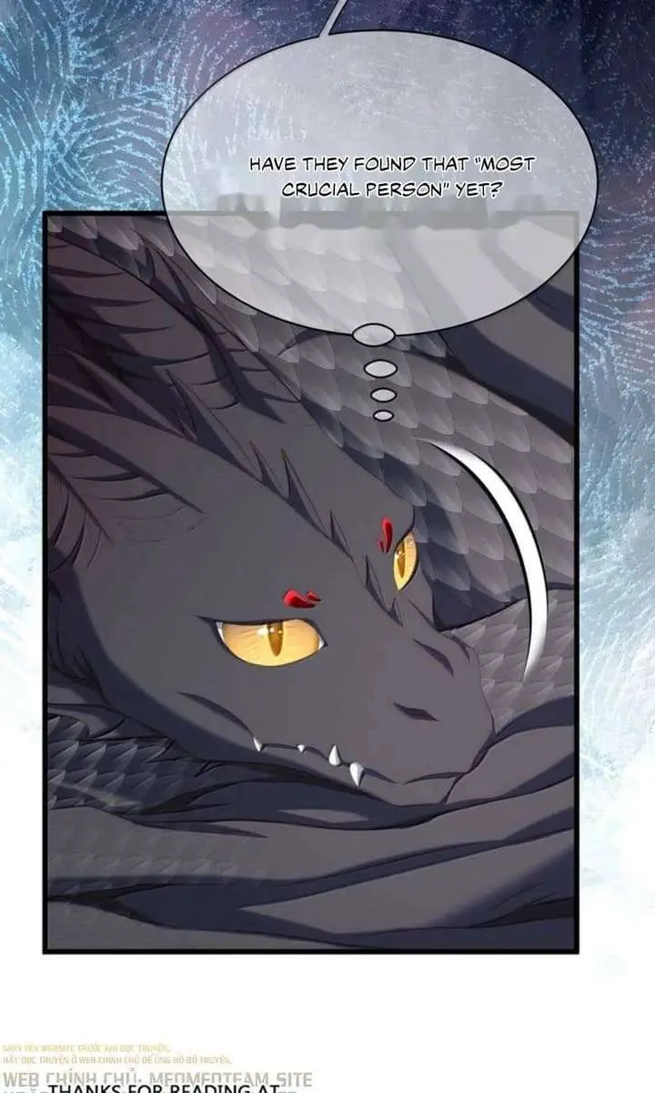 I Was Reborn as His Highness the Prince's Little Evil Dragon Chapter 124 Page 11