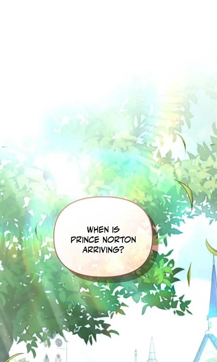 I Was the Acting Empress but I Spent the First Night with Him Chapter 28 Page 101