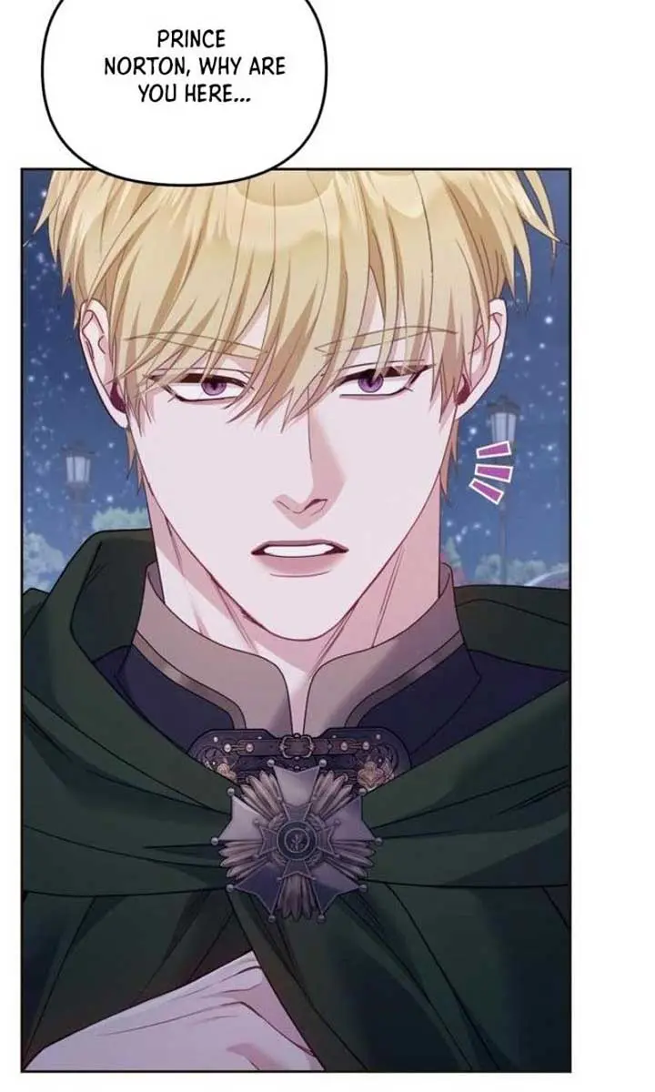 I Was the Acting Empress but I Spent the First Night with Him Chapter 36 Page 28