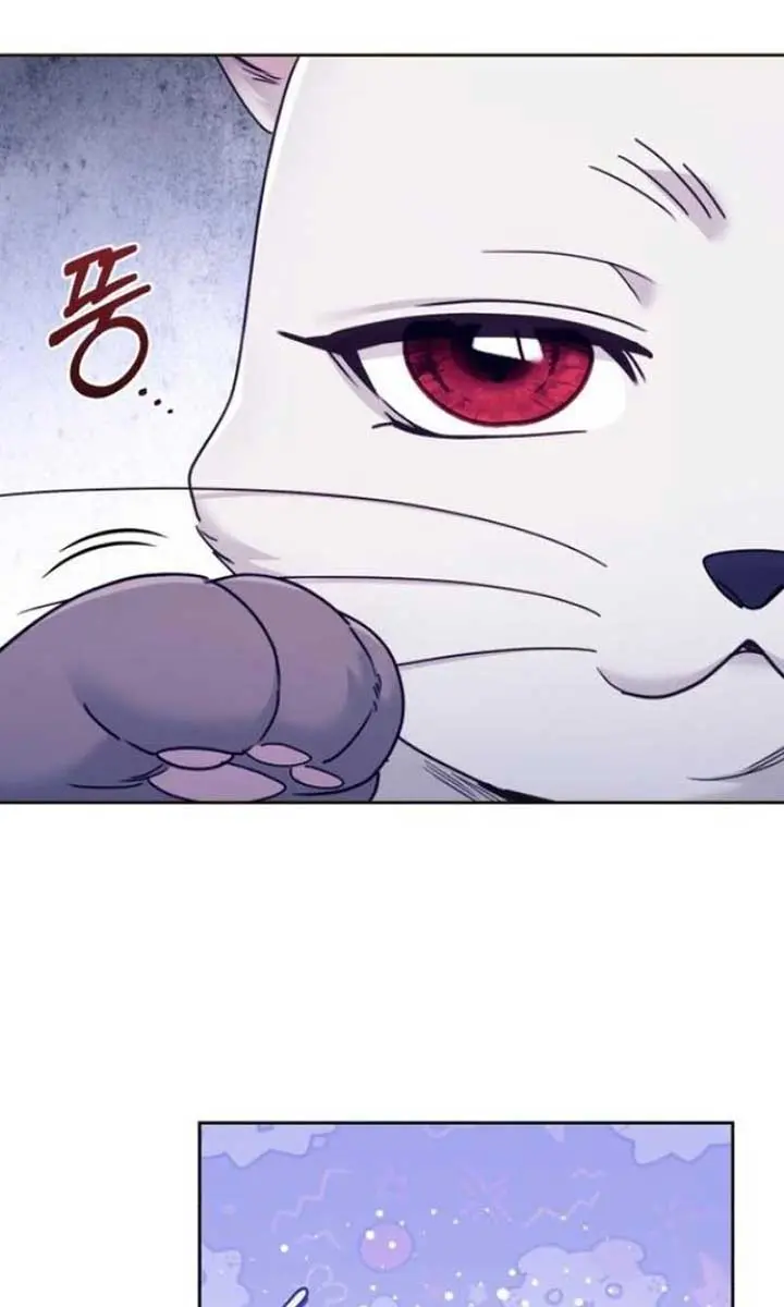 I Was the Acting Empress but I Spent the First Night with Him Chapter 37 Page 45